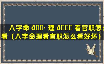 八字命 🌷 理 🐋 看官职怎么看（八字命理看官职怎么看好坏）